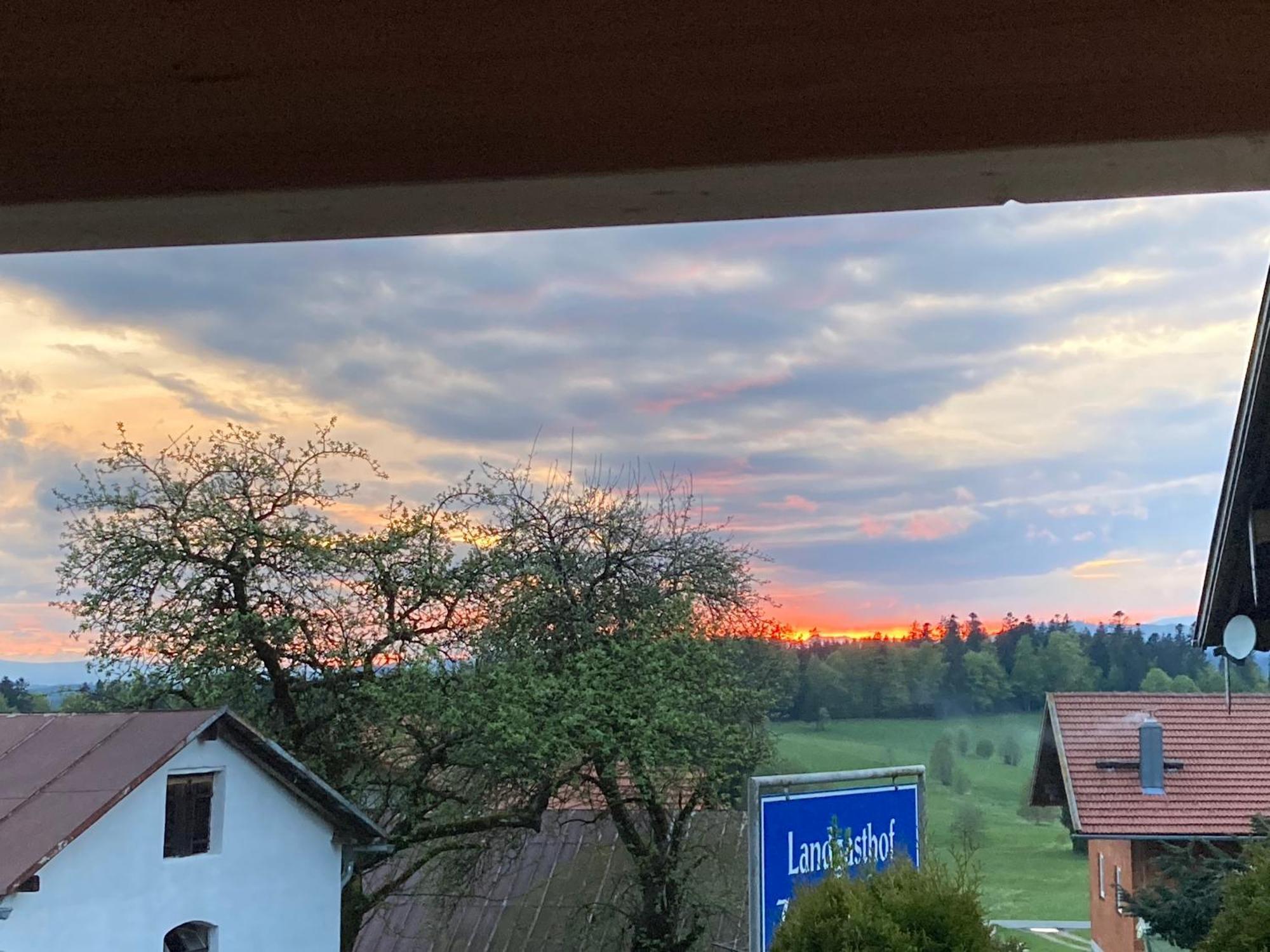 Zur Neuen Post Landgasthof Herzogsreut Zewnętrze zdjęcie