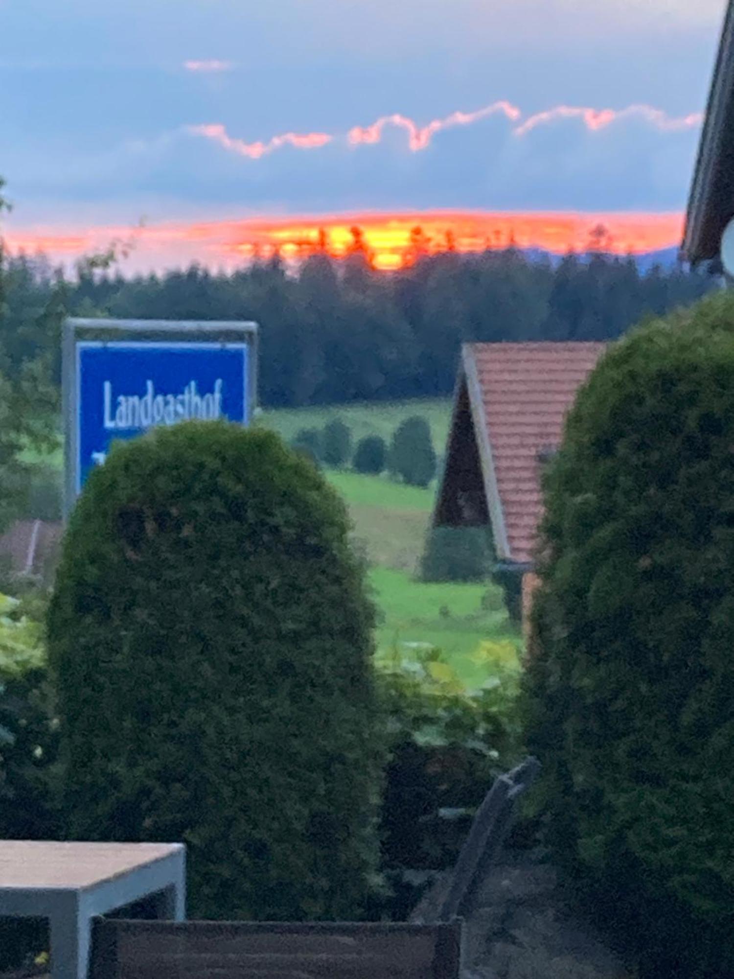 Zur Neuen Post Landgasthof Herzogsreut Zewnętrze zdjęcie